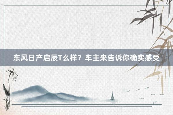 东风日产启辰T么样？车主来告诉你确实感受